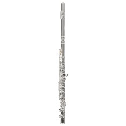COVERED HOLES FRENCH STYLE FLUTE 2