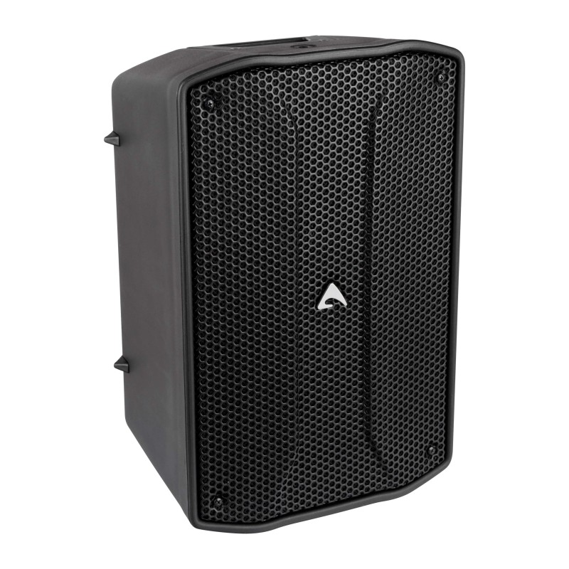 8” (209 mm), 2-way, Full-range, Passive Loudspeaker System