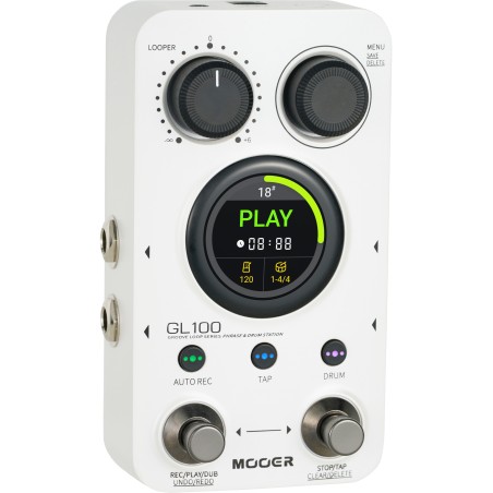 Mooer GL100