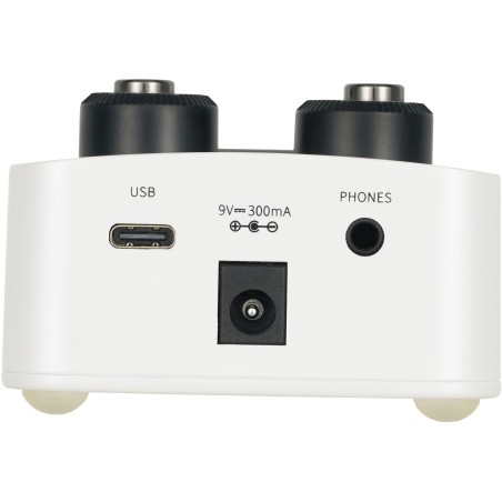 Mooer GL100