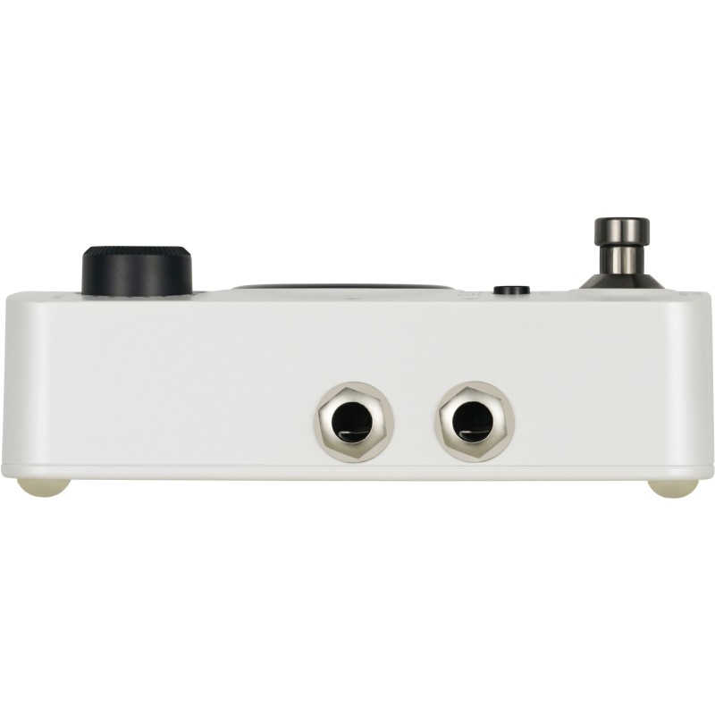 Mooer GL100