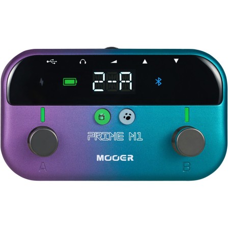 Mooer PRIME M1