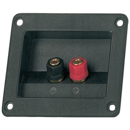 Dual Binding Post with ABS flange.