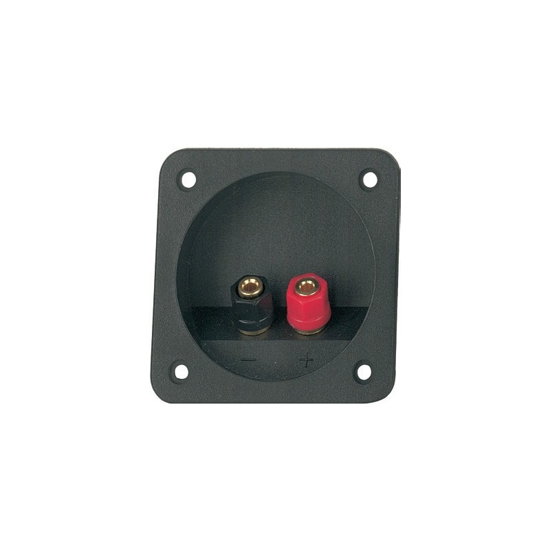 Dual Binding Post with ABS flange.