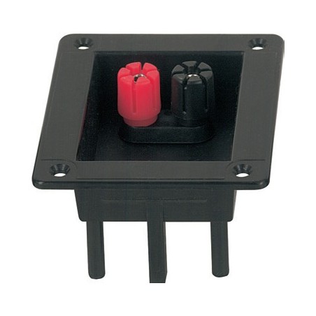 Dual Binding Post with ABS flange.