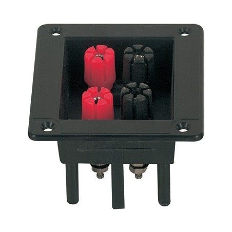 2 dual Binding Posts with ABS flange.