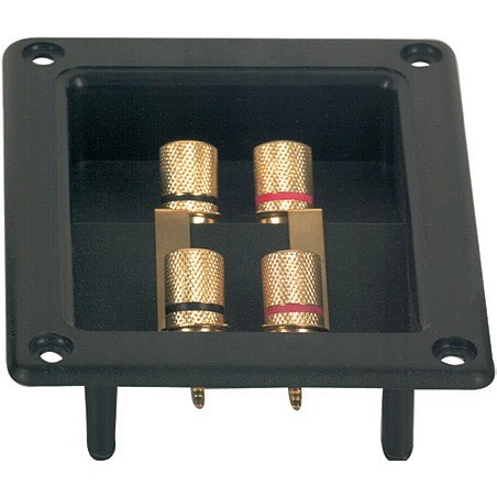 N. 2 Binding Post doppi professionali con flangia in ABS.
