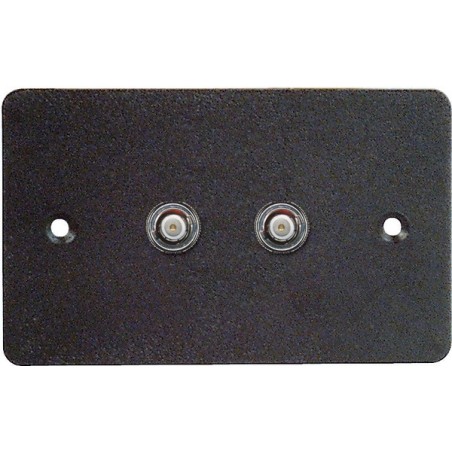 Placca da muro 70x114 mm.- 2 FORI PER BNC.