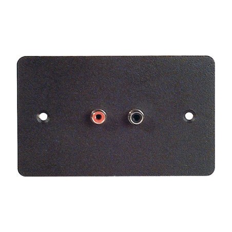 Placca da muro 70x114 mm.- 2 FORI PER RCA.