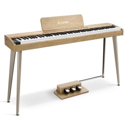 DONNER DDP-60 2