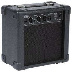 PEAVEY AUDITION 2