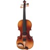 Violoncelos 1/2