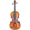 Violoncelos
