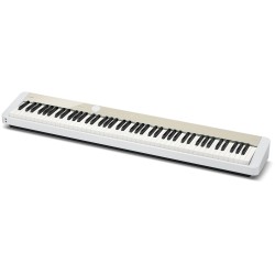 Casio PRIVIA PX-S1100MB MELLOW BEIGE 2