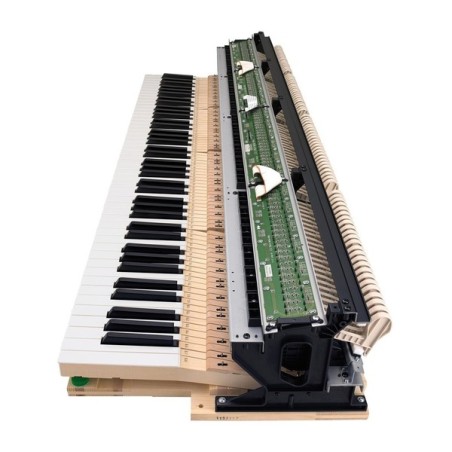 Casio CELVIANO GRAND HYBRID GP-310BK